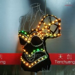 3D effect full color sexy LED dress