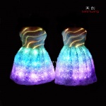 Tron Rose LED Skirt