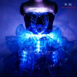 Fiber Optic LED Light Skirt