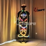 LED lighted strip lighting for clothing